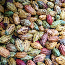 Lade das Bild in den Galerie-Viewer, Zeremonieller Kakao · Nahua · Costa Rica · (Geschmacks-Profil: Kaffee, Karamell, tropische Früchte)