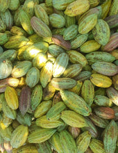 Lade das Bild in den Galerie-Viewer, Zeremonieller Kakao · Tlaloc · El Salvador · (Geschmacksprofil: Honig, Waldfrüchte, Zitrone)