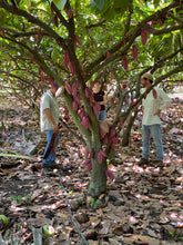 Lade das Bild in den Galerie-Viewer, Zeremonieller Kakao · Tlaloc · El Salvador · (Geschmacksprofil: Honig, Waldfrüchte, Zitrone)