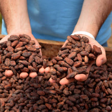 Lade das Bild in den Galerie-Viewer, Zeremonieller Kakao · Nahua · Costa Rica · (Geschmacks-Profil: Kaffee, Karamell, tropische Früchte)

