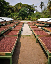 Lade das Bild in den Galerie-Viewer, Zeremonieller Kakao · Lenca · El Salvador · (Geschmacksprofil: Banane &amp; Trockenfrüchte, blumiger Abgang)
